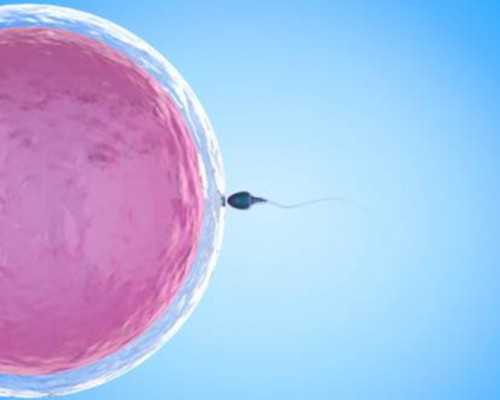 安徽借卵怀孕机构 2022安徽正规供卵生殖机构推荐 ‘孕囊大小看男女孩’