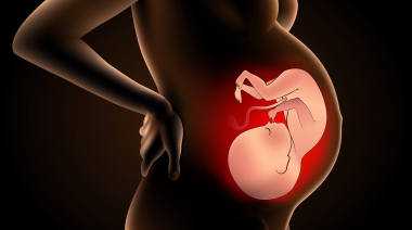 代怀孕代妈中介招聘_泰国试管婴儿取卵后如何调理卵巢？看这里